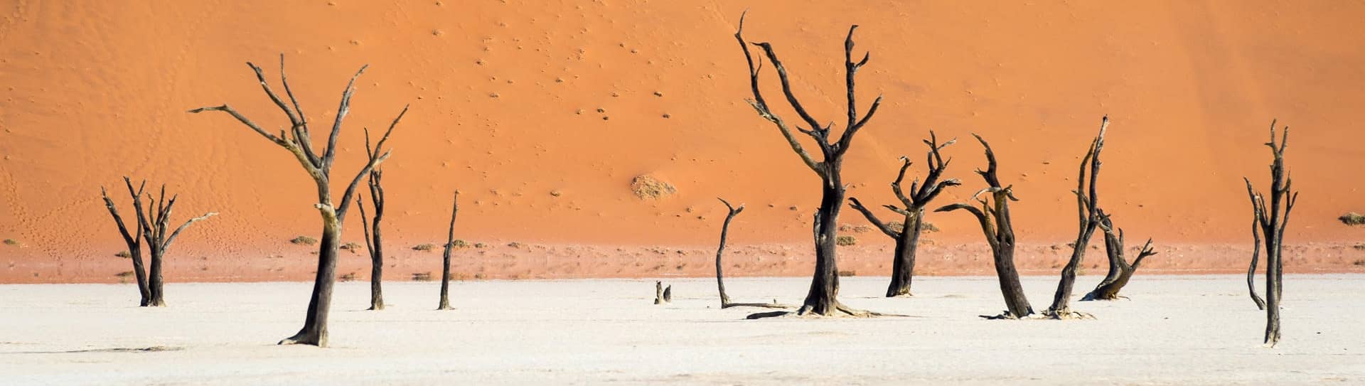Voyage Namibie desert Namib Naukluft Sossusvlei