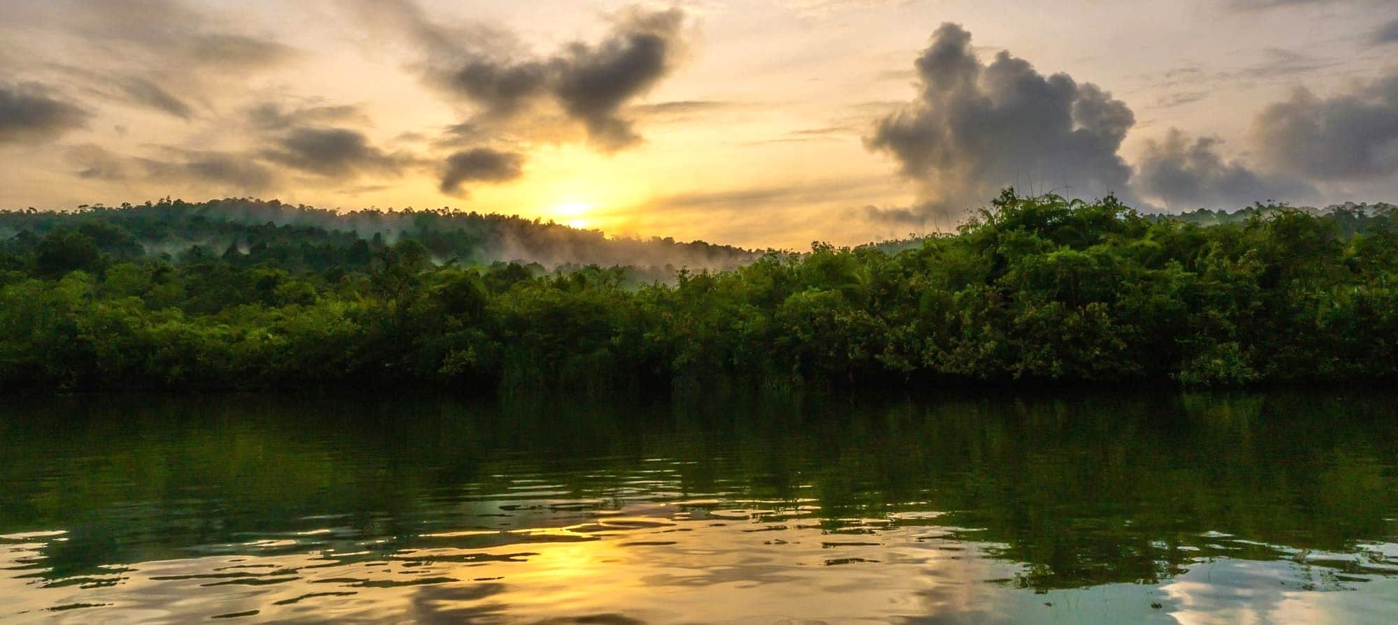 Naviguation en bateau sur la rivière des Cardamomes