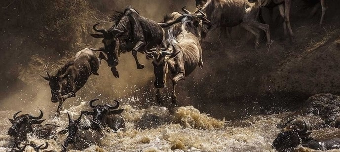 Safari en 4X4 en Tanzanie pendant la grande migration des gnous