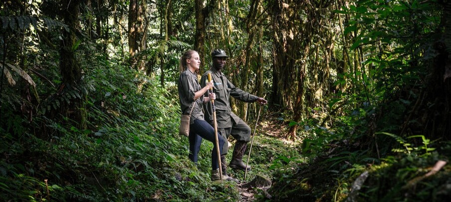 Marche avec un ranger du parc de Bwindi