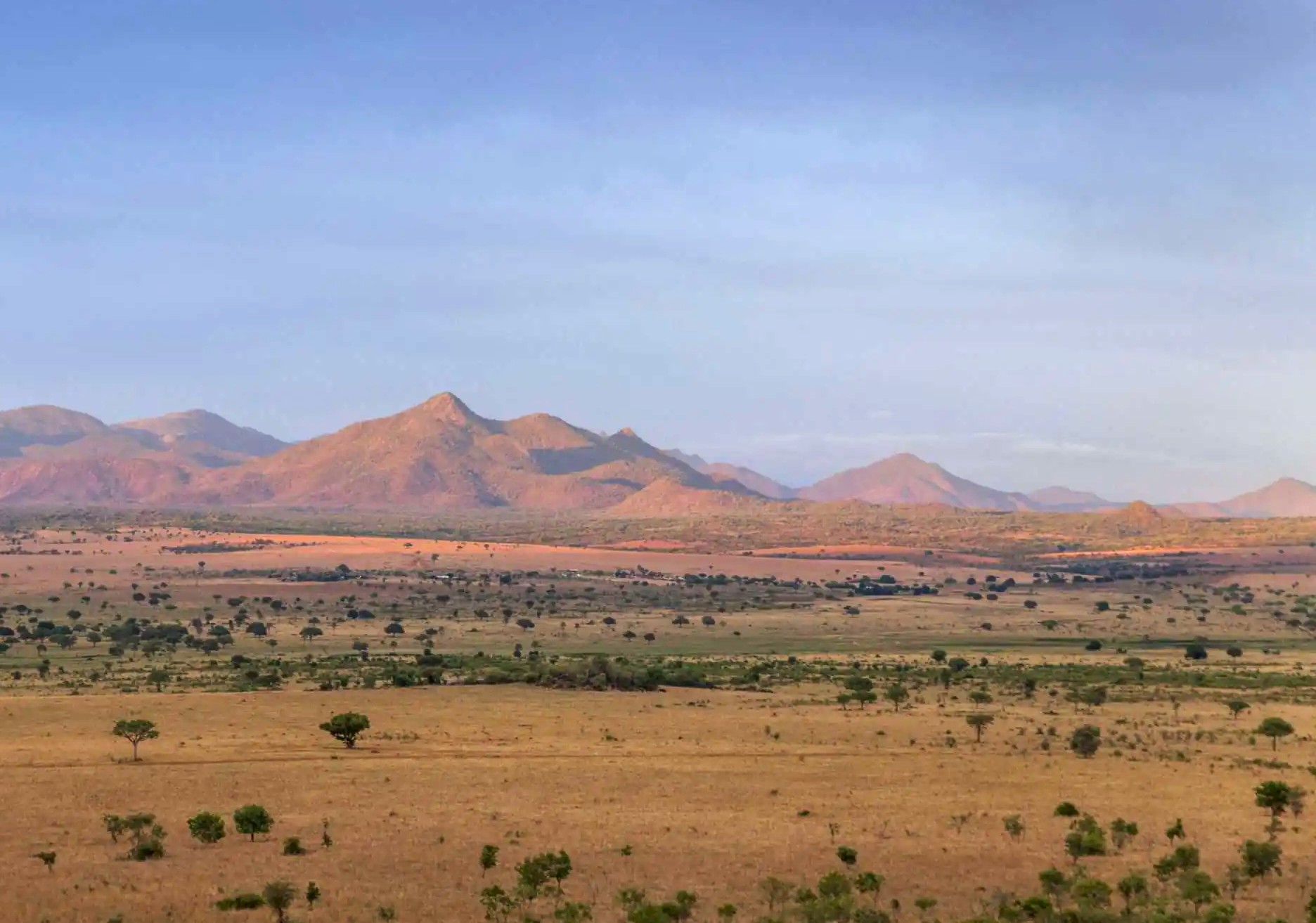 Ouganda safari Kidepo