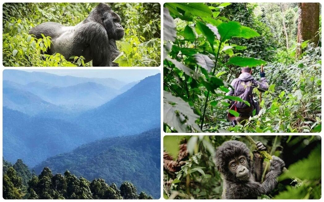 Ouganda 2 Ouganda 2