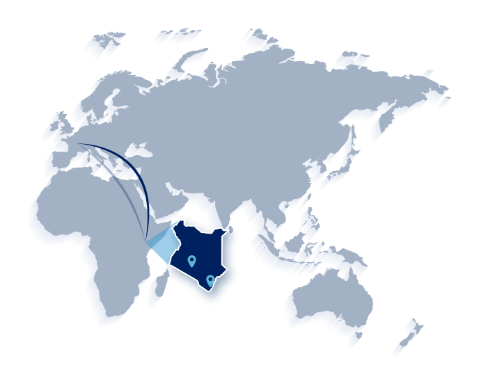 Carte Afrique Kenya 1