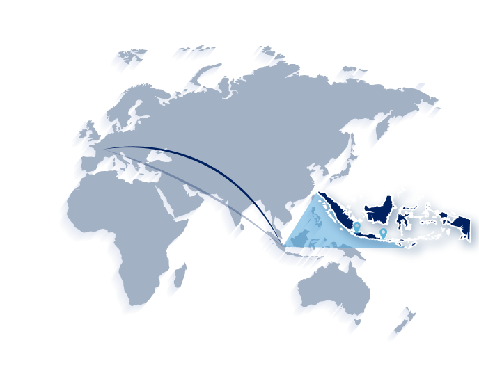 Carte Asie Indonesie 2