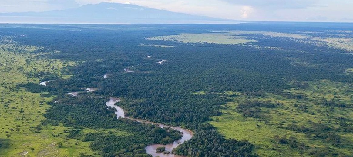 Rivière et forêt du secteur d'Ishasha à Queen Elisabeth 