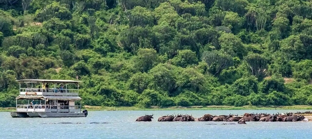 Safari en bateau sur la canal de Kazinga
