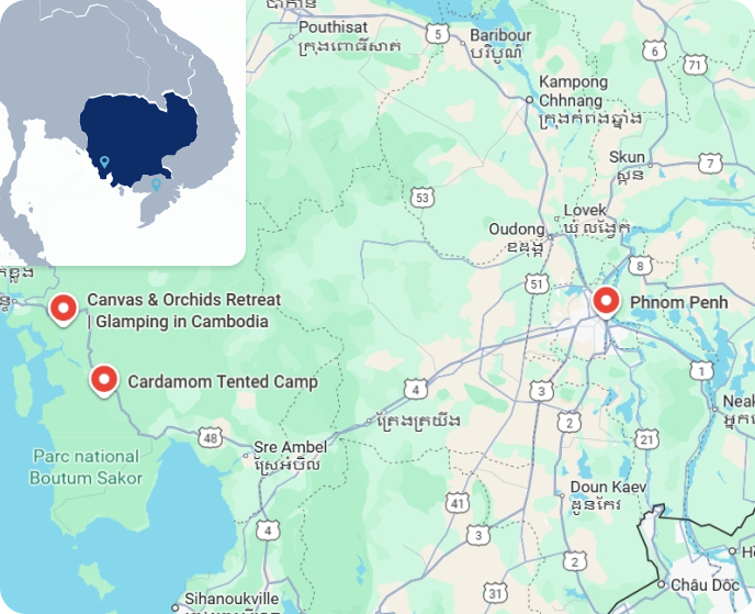 Zoom Cambodge Cardamom