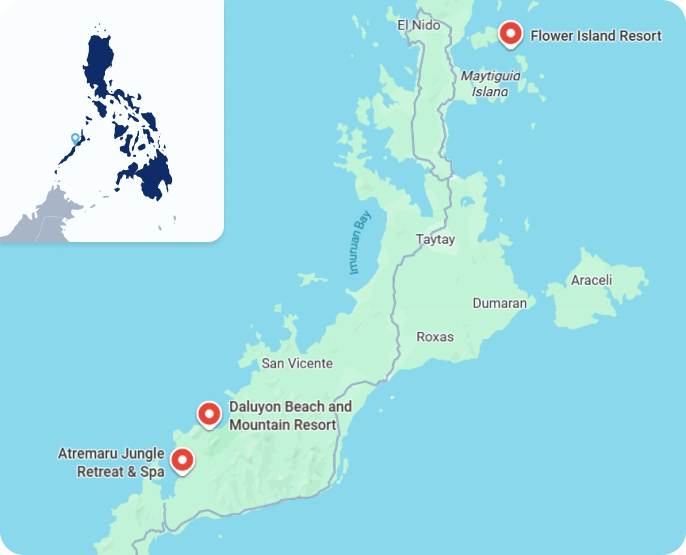 Zoom Philippines Palawan