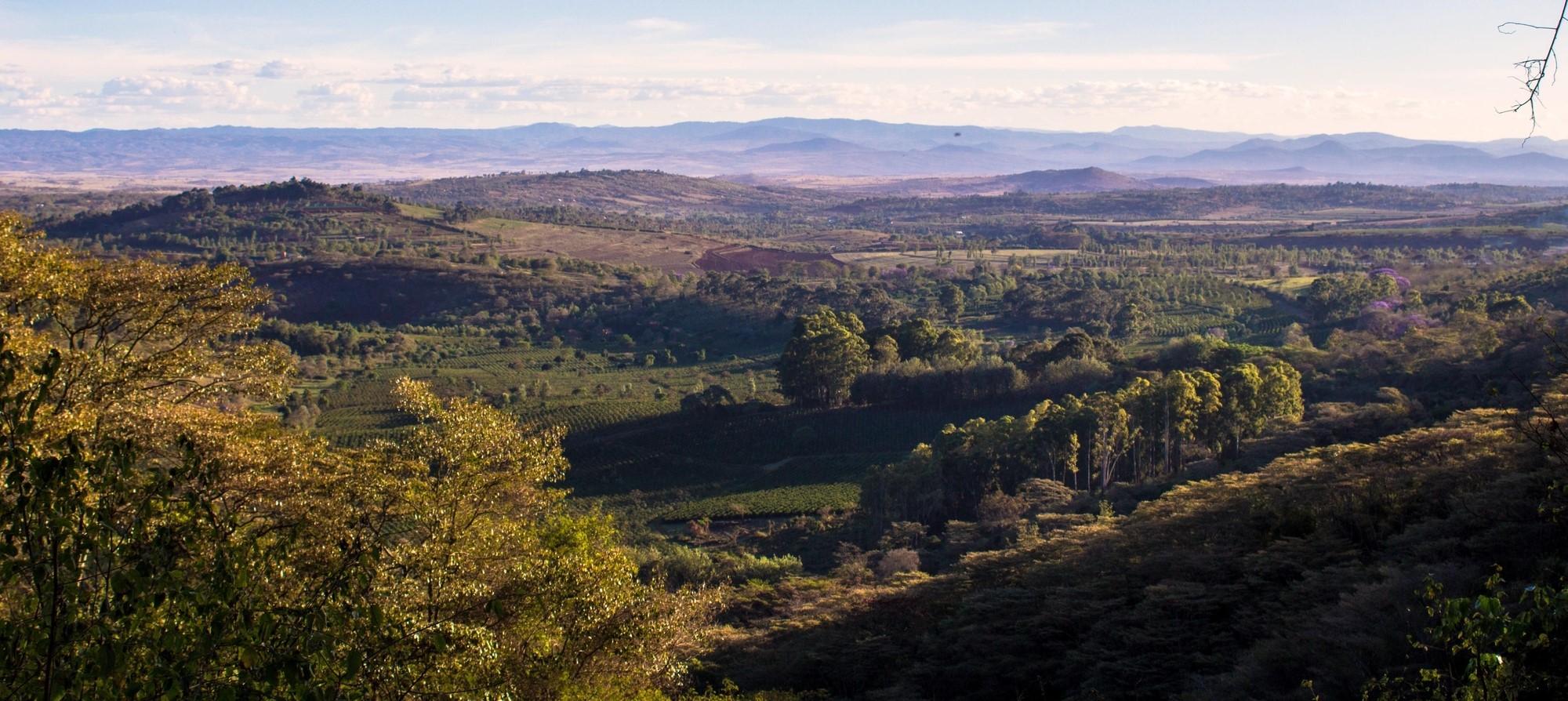 Escapade sur les hauts plateaux 2 Panorama sur les hauts plateaux fertiles de Karatu dans le nord de la Tanzanie