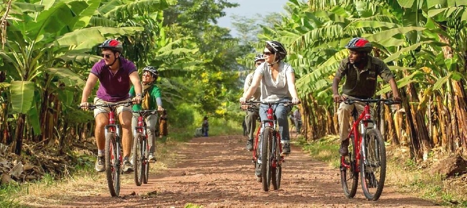 Escapade sur les hauts plateaux 4 Balade en VTT dans les plantations de Karatu et de Mto Wa Mbo