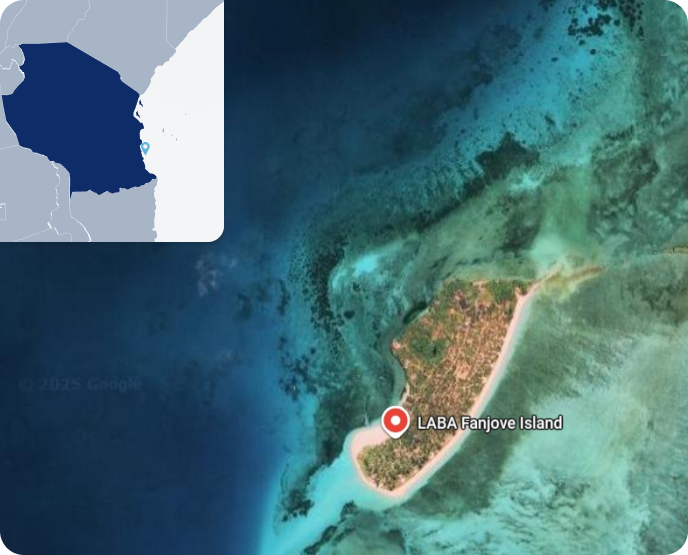 Zoom Tanzanie Fanjove