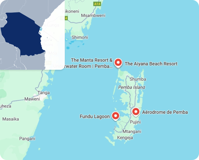 Zoom Tanzanie Pemba 1