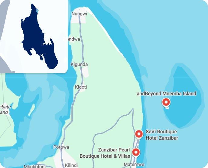 Zoom Zanzibar MNEMBA 1