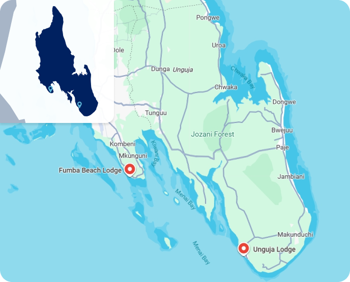 Zoom Zanzibar Sud ZNZ