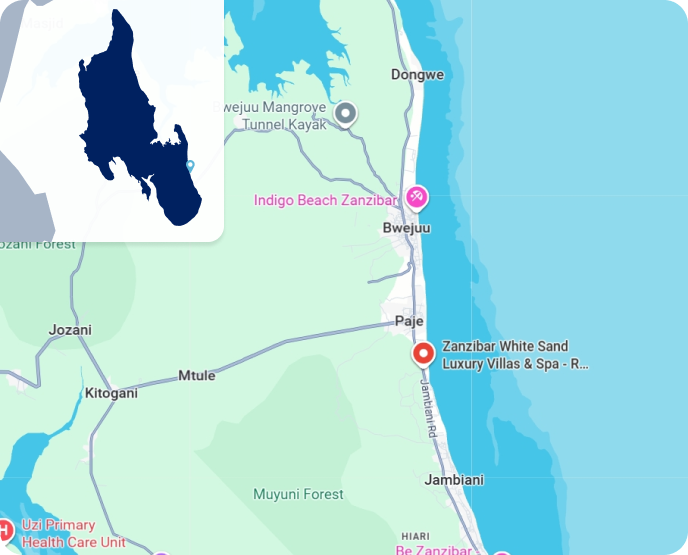Zoom Zanzibar WS