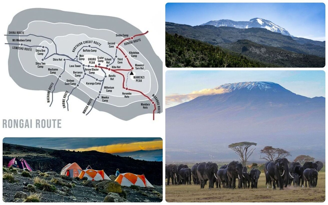 Kilimandjaro Rongai safari Tanzanie