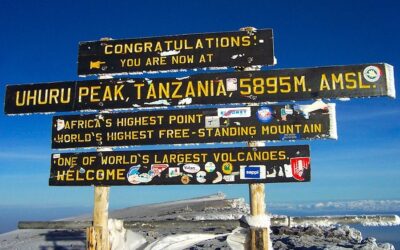 Projet pour cette nouvelle année : Dépasser ses limites !