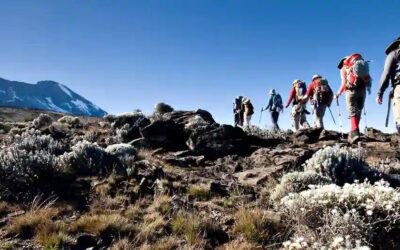 Bien préparer l&rsquo;ascension du Kilimandjaro