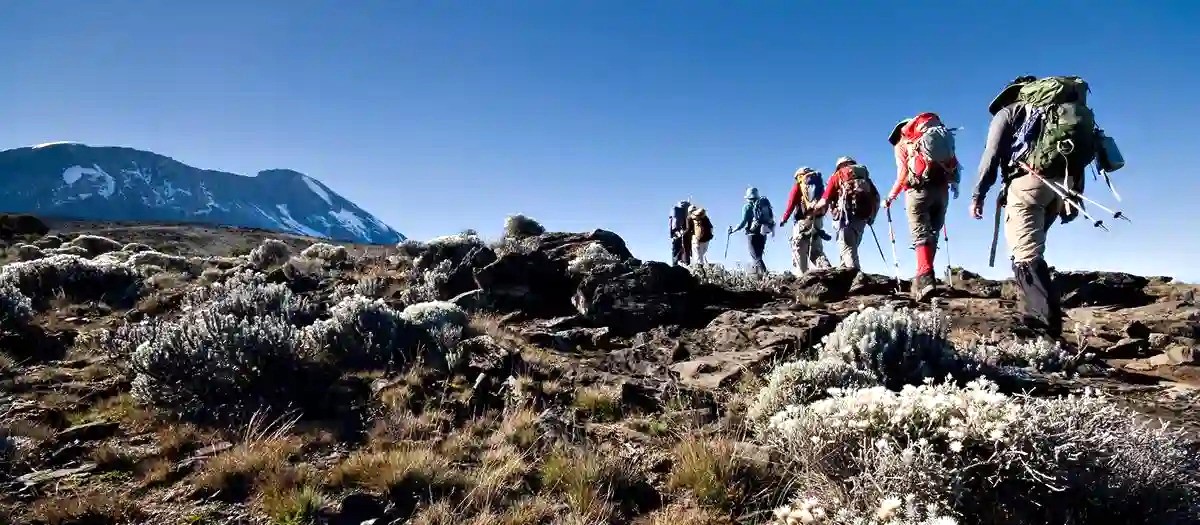 Tanzanie trek Kilimandjaro