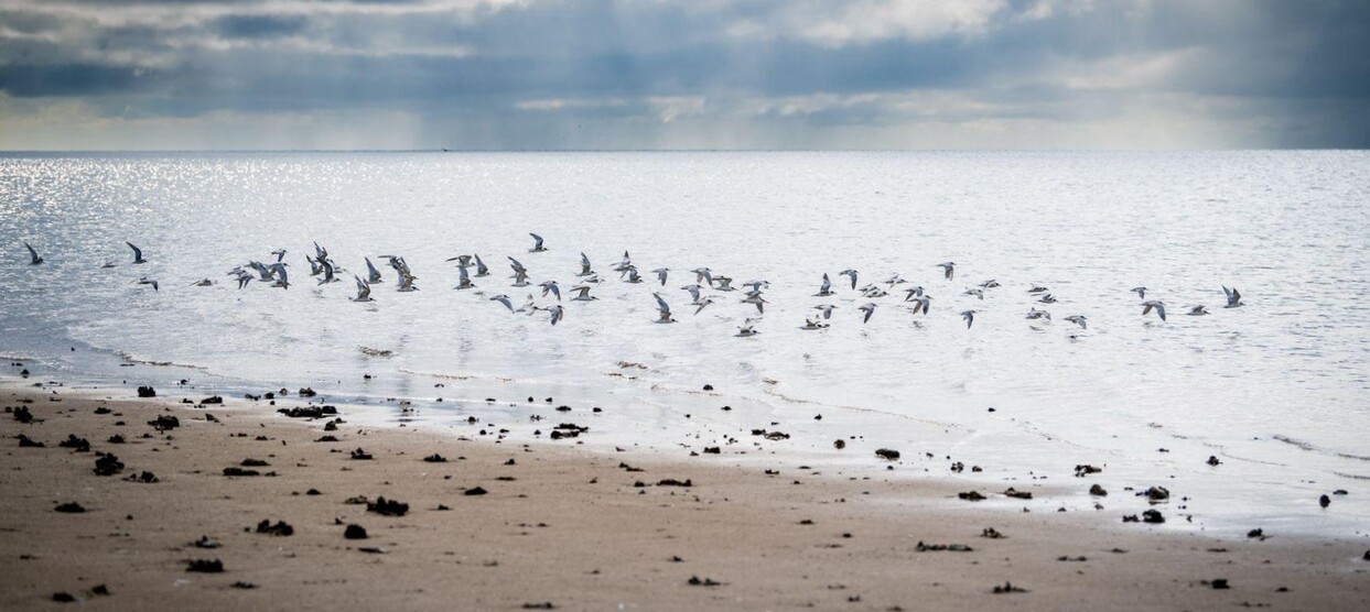 Paysages du parc national de Saadani