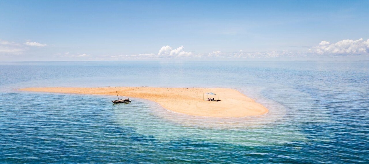 Elephants et buffles dans le parc Queen Elisabeth