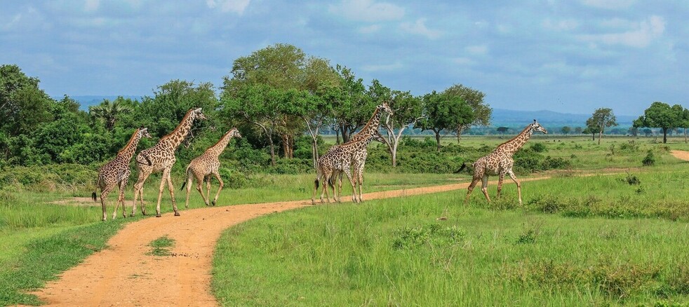Paysages du parc national de Saadani