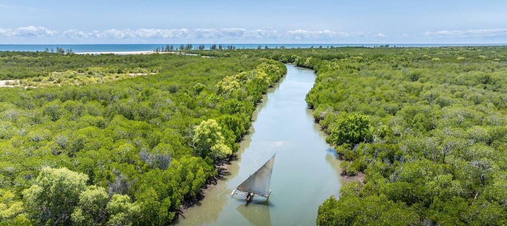 Paysages du parc national de Saadani