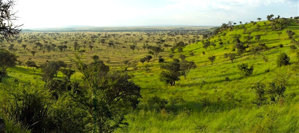 Paysages de l'ouest du Serengeti