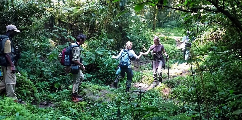 Les gorilles de montagnes de Bwindi 7 Marche avec un ranger du parc de Bwindi