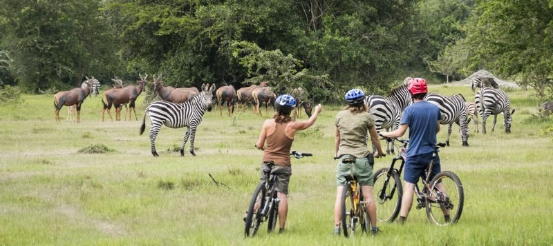 Lac Mburo 10 Safari en VTT dans le parc du lac Mburo