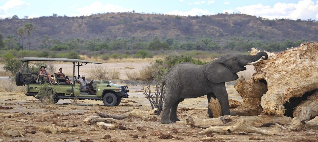 Safari en 4X4 à Ruaha 