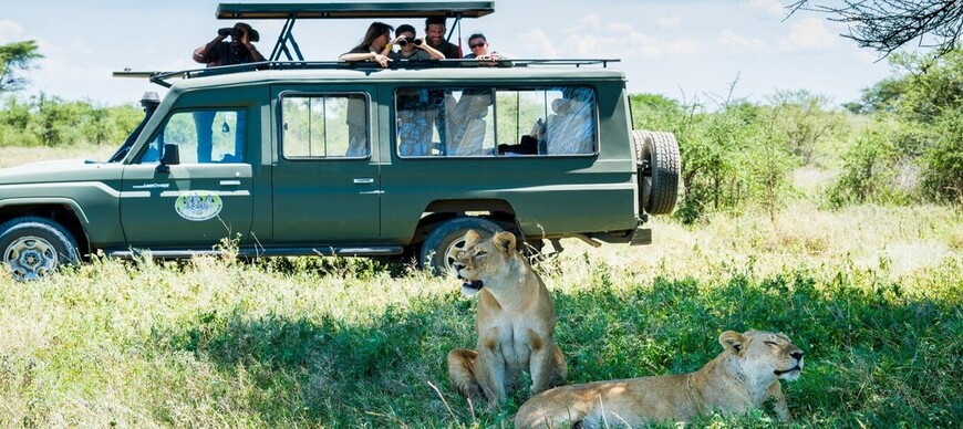 Safari en véhiucle 4X4 en Tanzanie