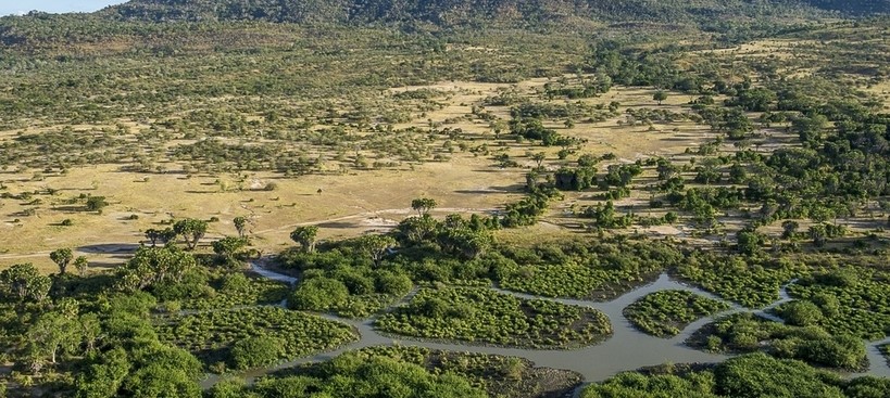 Parc de Nyerere Selous