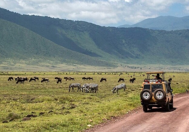 Tanzanie Nord Ngorongoro cratere safari