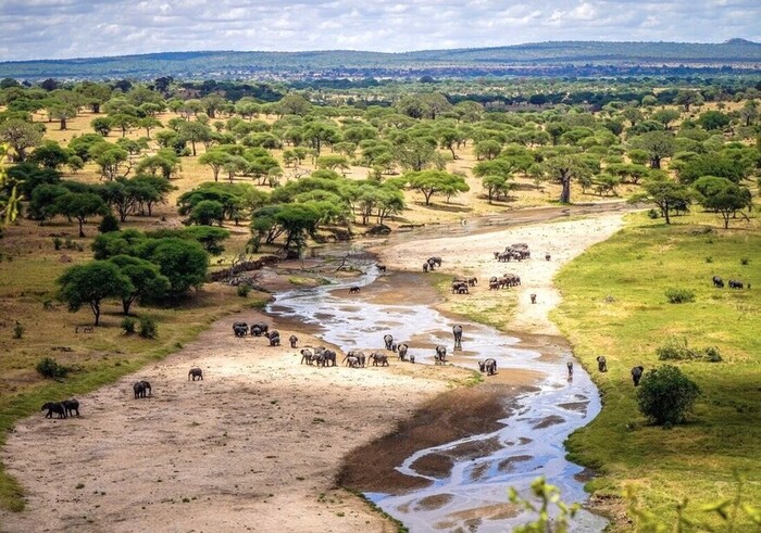 Seronera-centre-Serengeti-Nord-Tanzanie