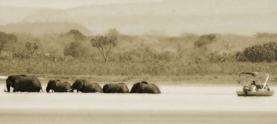 Safari en bateau à Nyerere Selous