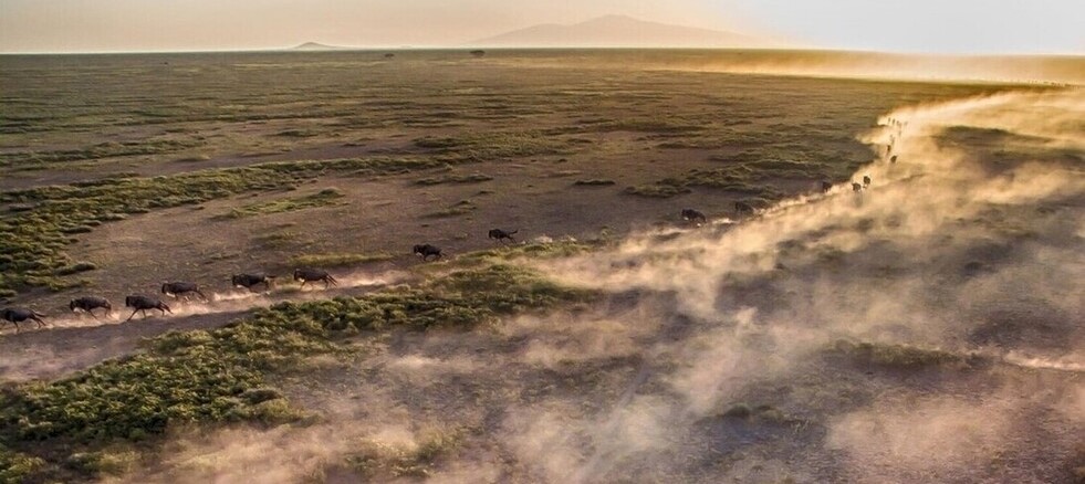 Nord Serengeti