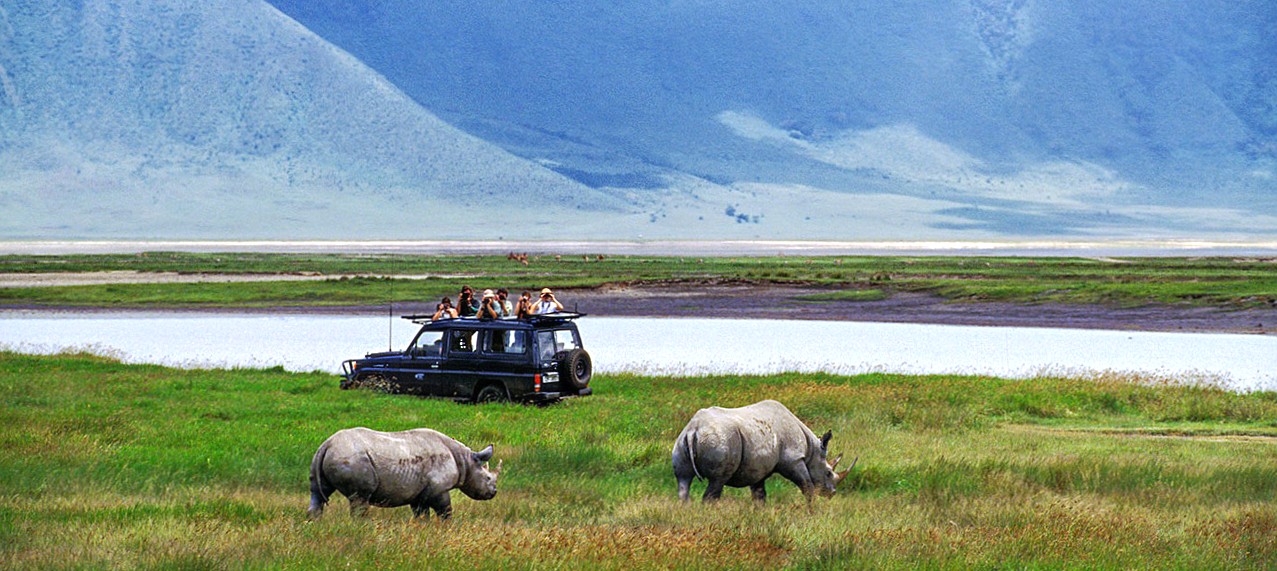Safari dans le cratère du Ngorongoro