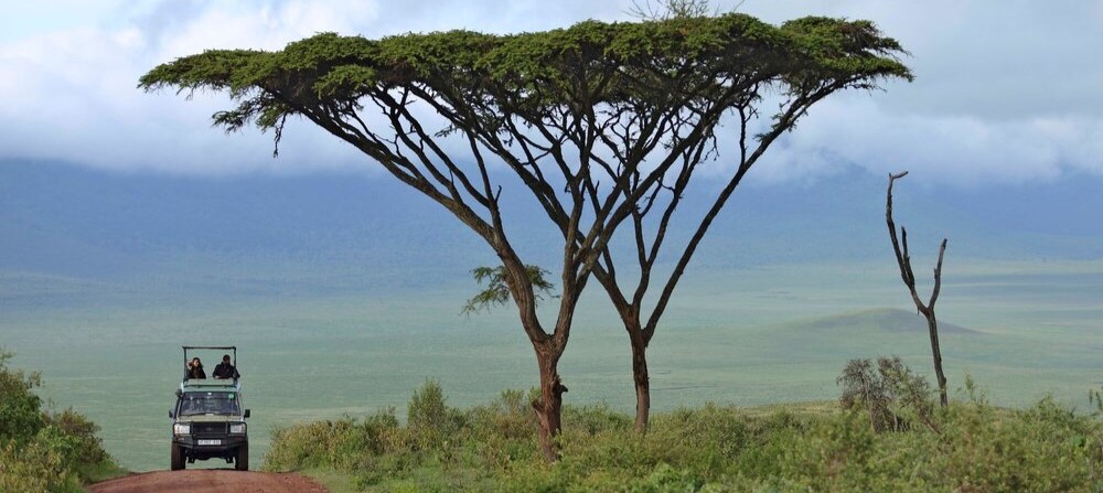 Atmosphère unique dans le cratère du Ngorongoro
