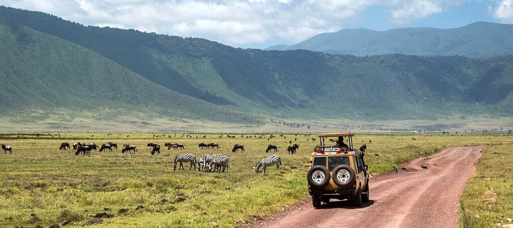 Safari dans le cratère du Ngorongoro